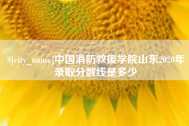 滕州中国消防救援学院山东2020年录取分数线是多少