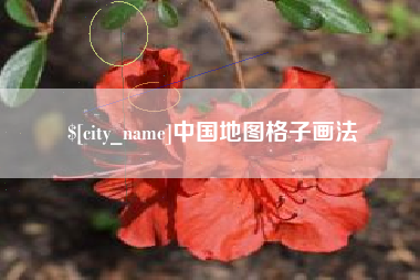 滕州中国地图格子画法