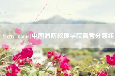 滕州中国消防救援学院高考分数线