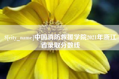 滕州中国消防救援学院2021年浙江省录取分数线
