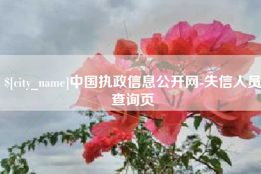滕州中国执政信息公开网-失信人员查询页
