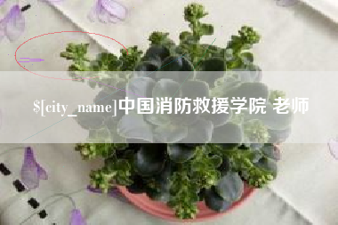 滕州中国消防救援学院 老师