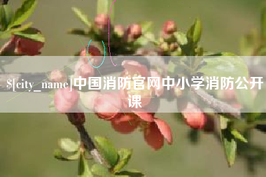 滕州中国消防官网中小学消防公开课