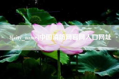 滕州中国消防网官网入口网址
