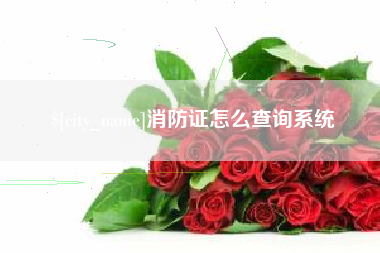 滕州消防证怎么查询系统