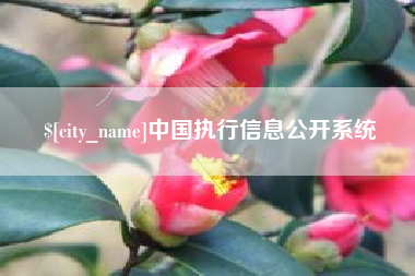 滕州中国执行信息公开系统