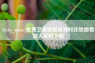滕州免费卫星地图高清村庄地图看到人实时下载