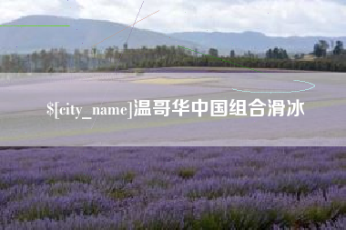 滕州温哥华中国组合滑冰