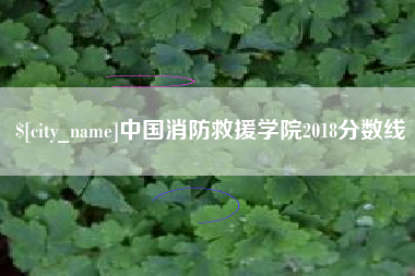 滕州中国消防救援学院2018分数线