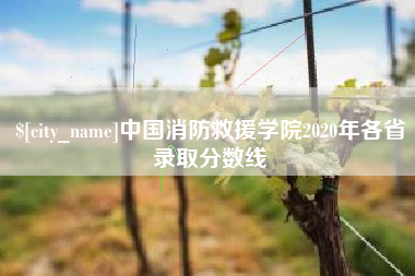 滕州中国消防救援学院2020年各省录取分数线