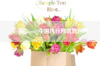 滕州中国执行网信息官网