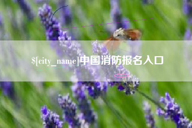 滕州中国消防报名入口