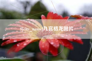滕州九宫格龙图片