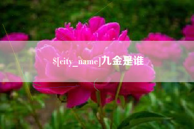 滕州九金是谁