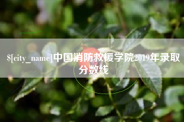 滕州中国消防救援学院2019年录取分数线