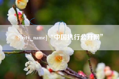 滕州“中国执行公开网”