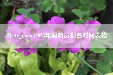滕州2025年消防员报名时间表格