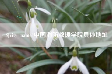 滕州中国消防救援学院具体地址