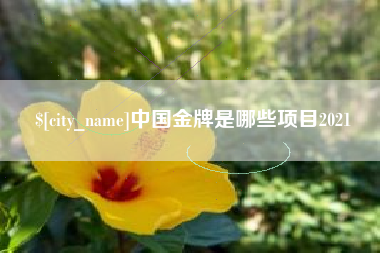 滕州中国金牌是哪些项目2021