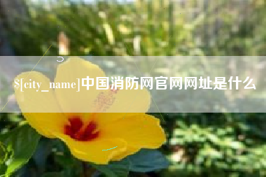 滕州中国消防网官网网址是什么