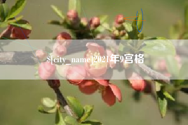 滕州2021年9宫格