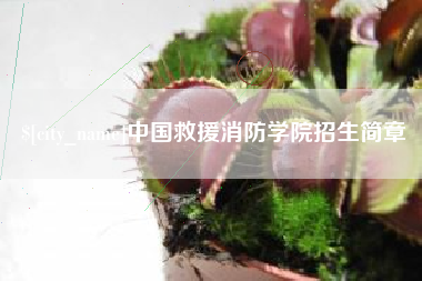 滕州中国救援消防学院招生简章