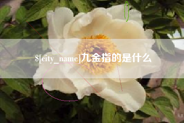 滕州九金指的是什么