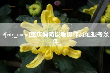 滕州重庆消防设施操作员证报考条件
