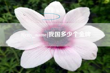 滕州我国多少个金牌
