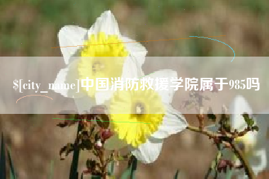 滕州中国消防救援学院属于985吗