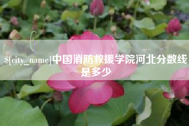 滕州中国消防救援学院河北分数线是多少