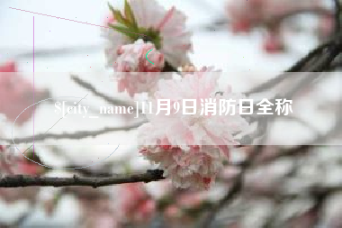 滕州11月9日消防日全称