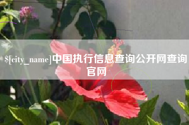 滕州中国执行信息查询公开网查询官网