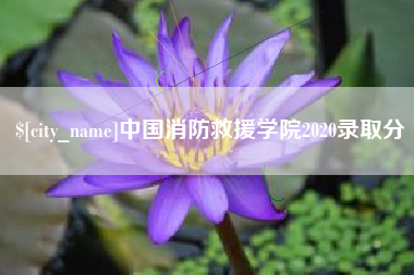 滕州中国消防救援学院2020录取分