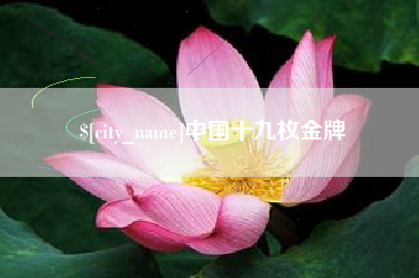 滕州中国十九枚金牌