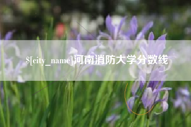 滕州河南消防大学分数线