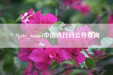 滕州中国执行网公开查询