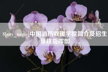 滕州中国消防救援学院简介及招生章程指挥部