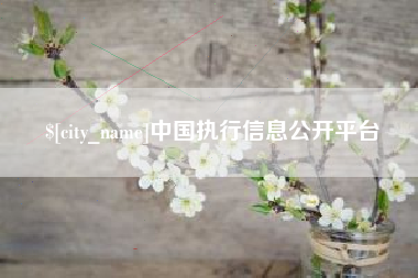 滕州中国执行信息公开平台