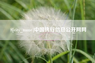 滕州中国执行信息公开网网