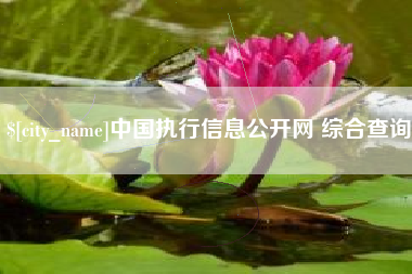 滕州中国执行信息公开网 综合查询