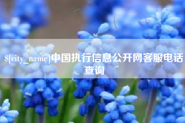 滕州中国执行信息公开网客服电话查询