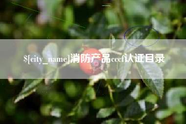 滕州消防产品cccf认证目录