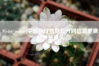 滕州中国执行信息公开网信息更新时间是多久