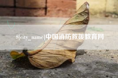 滕州中国消防救援教育网