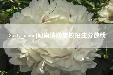 滕州河南消防学校招生分数线