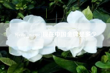 滕州现在中国金牌是多少