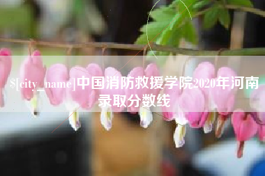 滕州中国消防救援学院2020年河南录取分数线