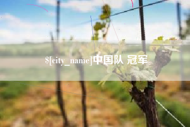 滕州中国队 冠军
