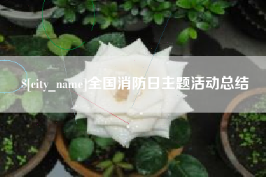 滕州全国消防日主题活动总结